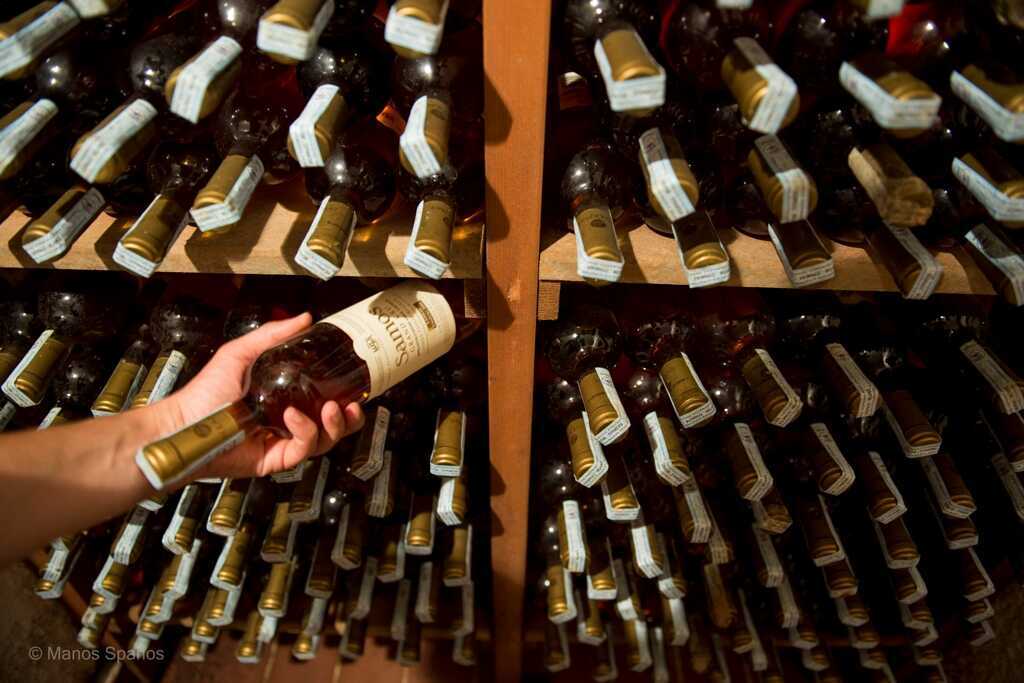 Vinsmaking
