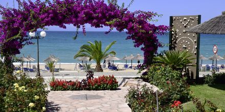 Stranden ved hotell Haris, Vrachos, Hellas